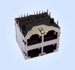 HL5902 2X2 8P8C Shielded